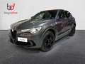 Alfa Romeo Stelvio 2.9 Bi-Turbo Q4 Quadrifoglio AT8 Gris - thumbnail 1