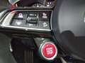 Alfa Romeo Stelvio 2.9 Bi-Turbo Q4 Quadrifoglio AT8 Gris - thumbnail 19