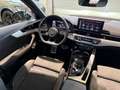 Audi A4 Avant 30 TDI 2 x S line AID/LED/PANO/AHK Negro - thumbnail 10
