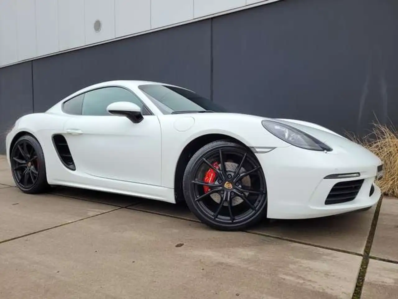 Porsche Cayman