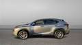 Lexus NX 300h 2.5 EXECUTIVE TECNO 4WD AUTO 197 5P Jaune - thumbnail 7