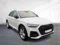 Audi Q5 50 TFSI e advanced quattro Matrix B&O AHZV Weiß - thumbnail 6