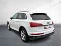 Audi Q5 50 TFSI e advanced quattro Matrix B&O AHZV Weiß - thumbnail 3