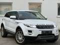 Land Rover Range Rover Evoque Prestige 2,2 TD4 Aut. - thumbnail 1