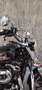 Harley-Davidson XL 1200 sportster XL 1200 T superlow Nero - thumbnail 1