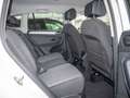 Volkswagen Tiguan 2.0 TDI DSG Move Navi R-Kam AHK SHZ Weiß - thumbnail 5