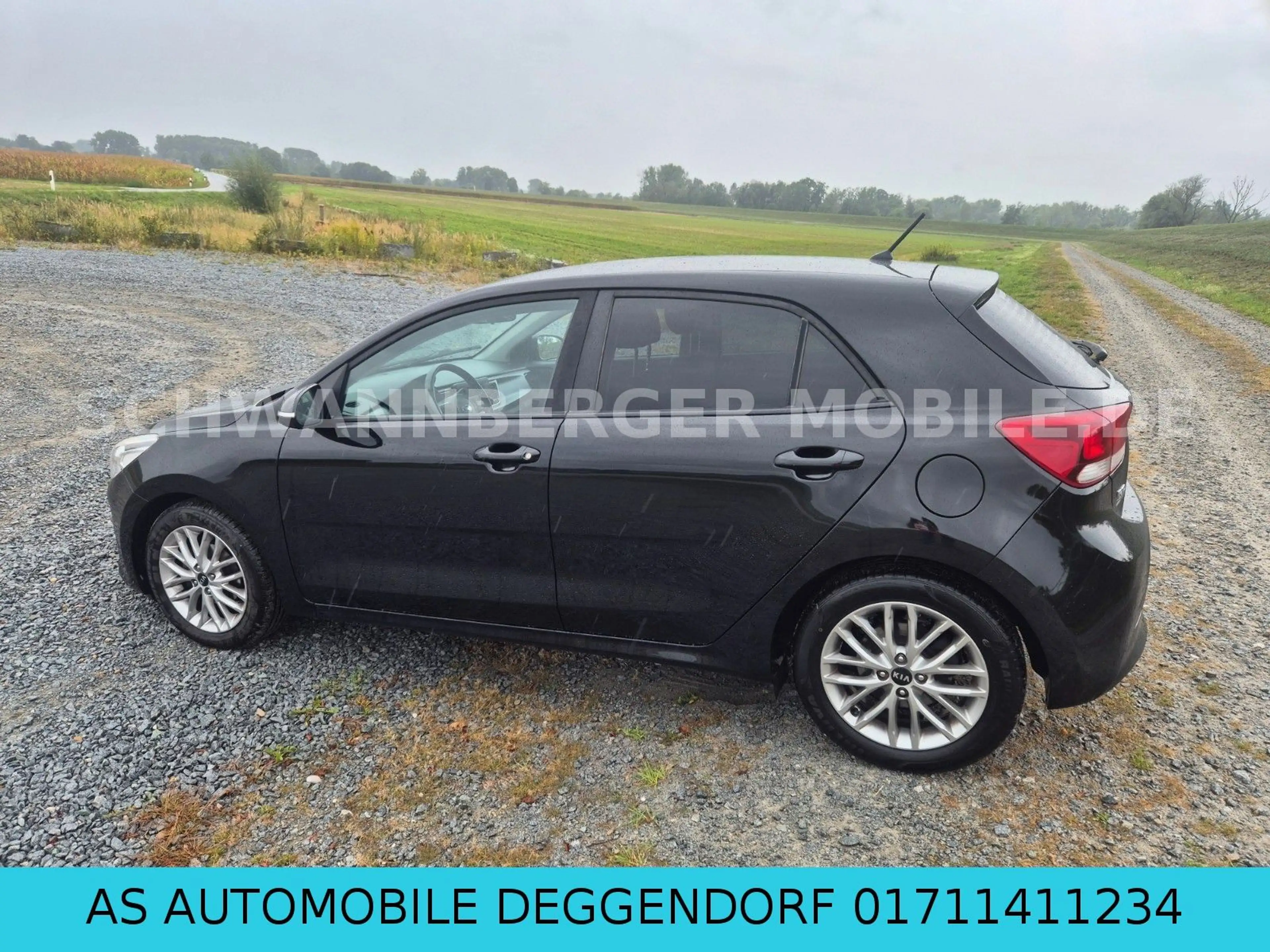 Kia Rio Dream Team-KLIMA-SHZ-PDC-EURO6 — photo 8