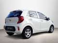 Kia Picanto 1.0 DPi Concept Blanco - thumbnail 6