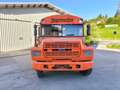 Ford Thomas B700 - Schulbus, Promotionbus, Campingbus Orange - thumbnail 6