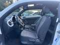 Volkswagen Maggiolino Maggiolino 1.6 tdi Design **TETTO APRIBILE** Bianco - thumbnail 9