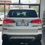 BMW X5 M50d auto Bianco - thumbnail 5