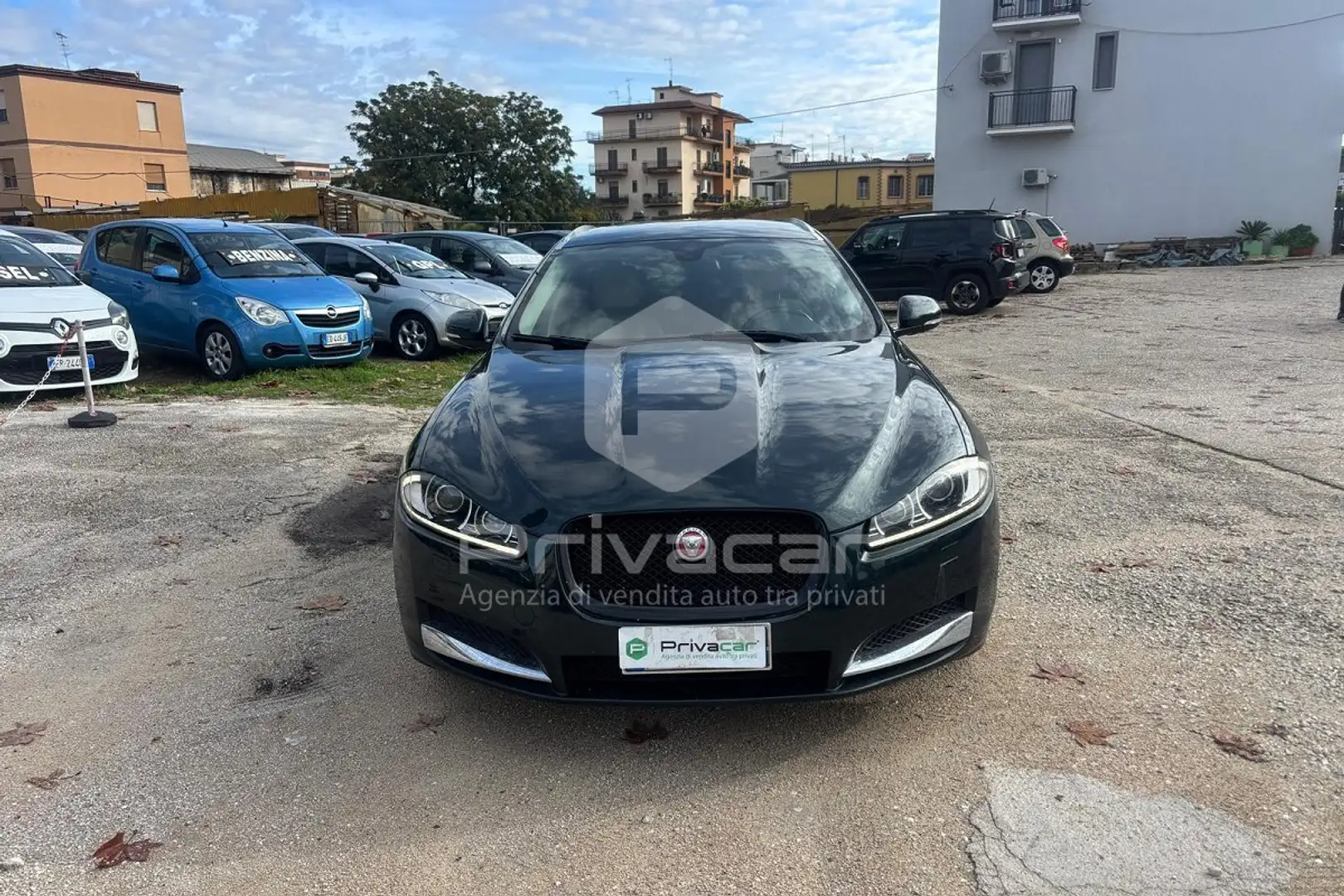 Jaguar XF XF Sportbrake 2.2 D Business Edition Verde - 2