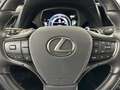 Lexus LS 500 Privilege Line Grey - thumbnail 25