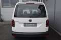 Volkswagen Caddy Caddy Maxi Kasten 2,0 TDI DSG XENON/NAVI/ACC  /... Weiß - thumbnail 5