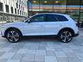 Audi Q5 40 TDI S tronic quattro S line Weiß - thumbnail 1