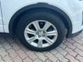 Land Rover Range Rover Evoque 2.0 TD4 150 CV 5p. SE Dynamic IVA ESPOSTA Bianco - thumbnail 10