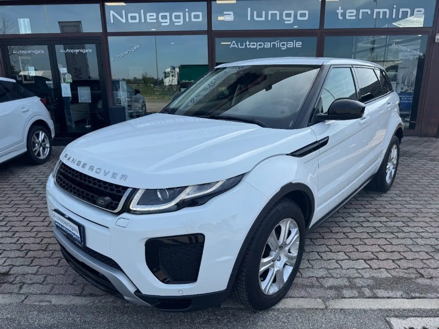 Land Rover Range Rover Evoque 2.0 TD4 150 CV 5p. SE Dynamic IVA ESPOSTA Bianco - 2