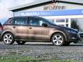 Volkswagen Polo Comfortline e.PANORAMADACH*1.HD*a.INSPEKTIONEN*WKR Brun - thumbnail 6
