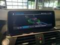 BMW X3 xDrive30e High Executive Panorama | HUD | Trekhaak Negro - thumbnail 14