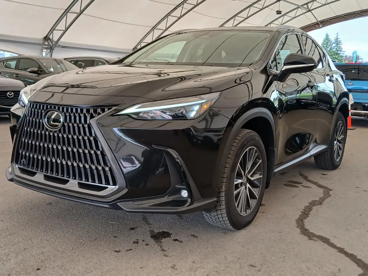 Lexus NX fotografie Lexus NX