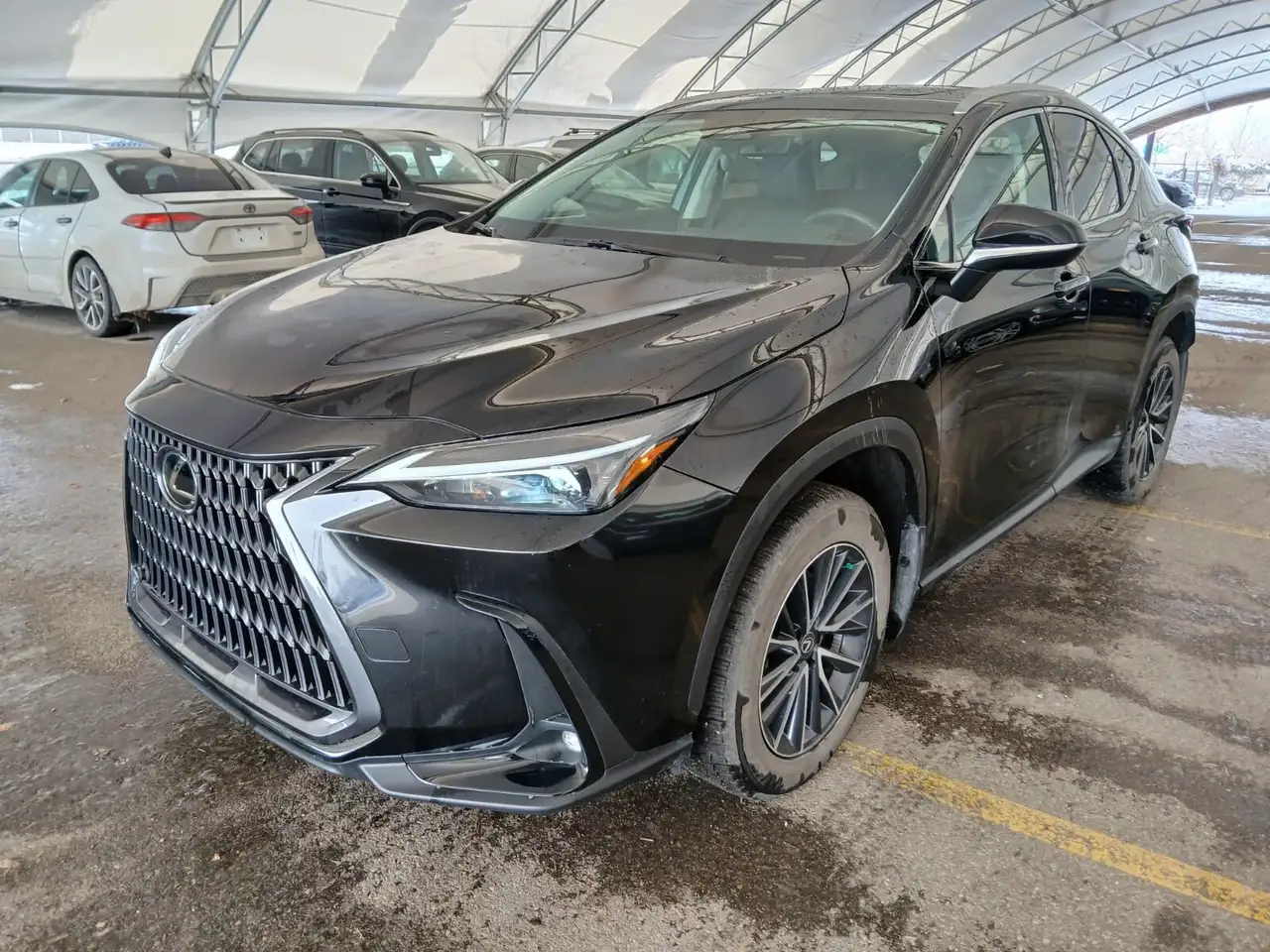 2025 Lexus NX