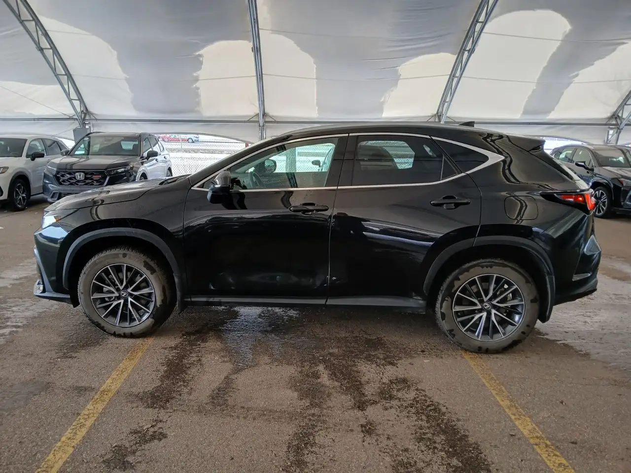 Lexus NX снимка Lexus NX