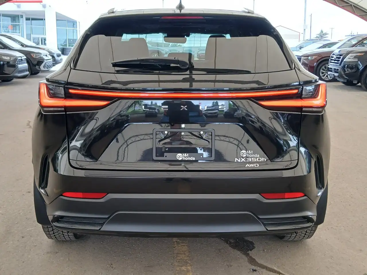 Lexus NX fotografie Lexus NX