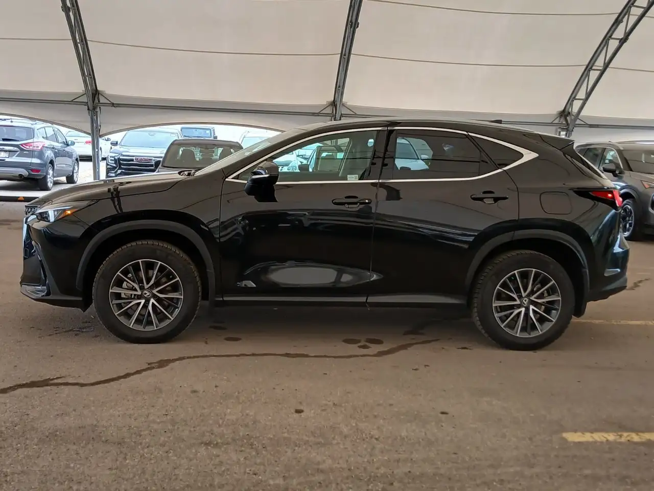 Lexus NX fotografie Lexus NX