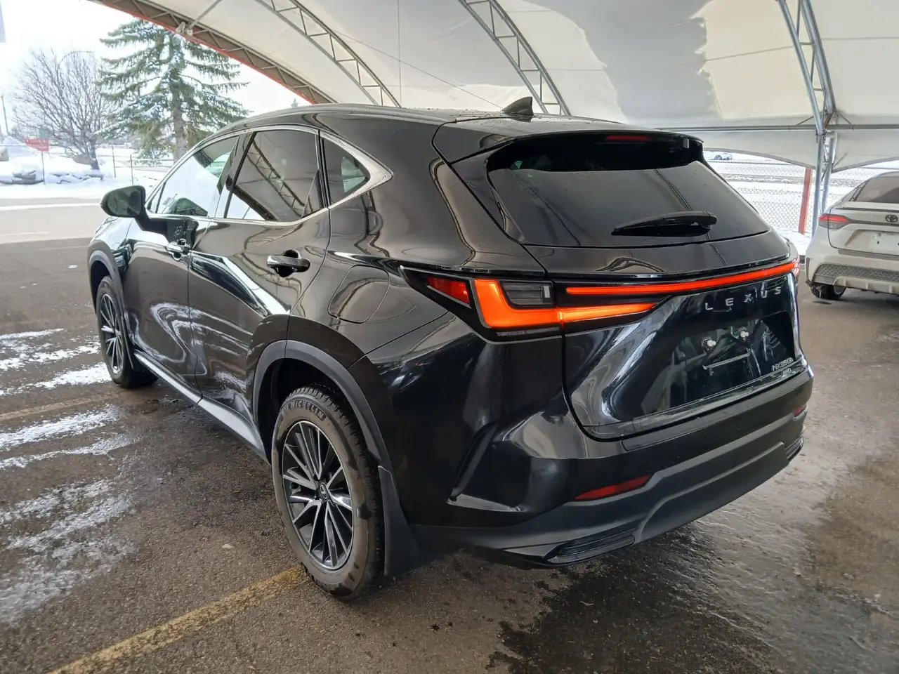 Lexus NX снимка Lexus NX