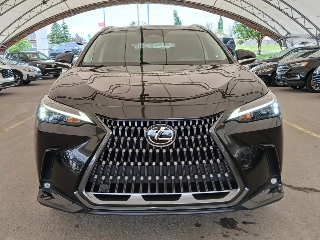 Lexus NX fotografie Lexus NX