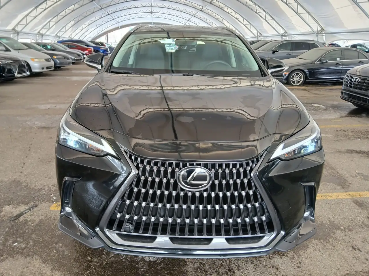 Lexus NX снимка Lexus NX
