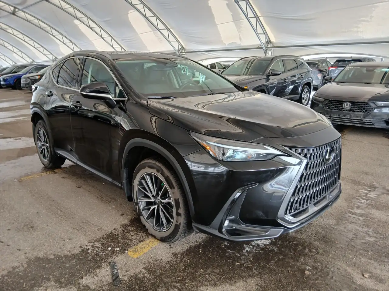 Lexus NX снимка Lexus NX
