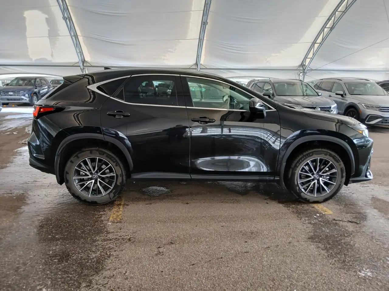 Lexus NX снимка Lexus NX