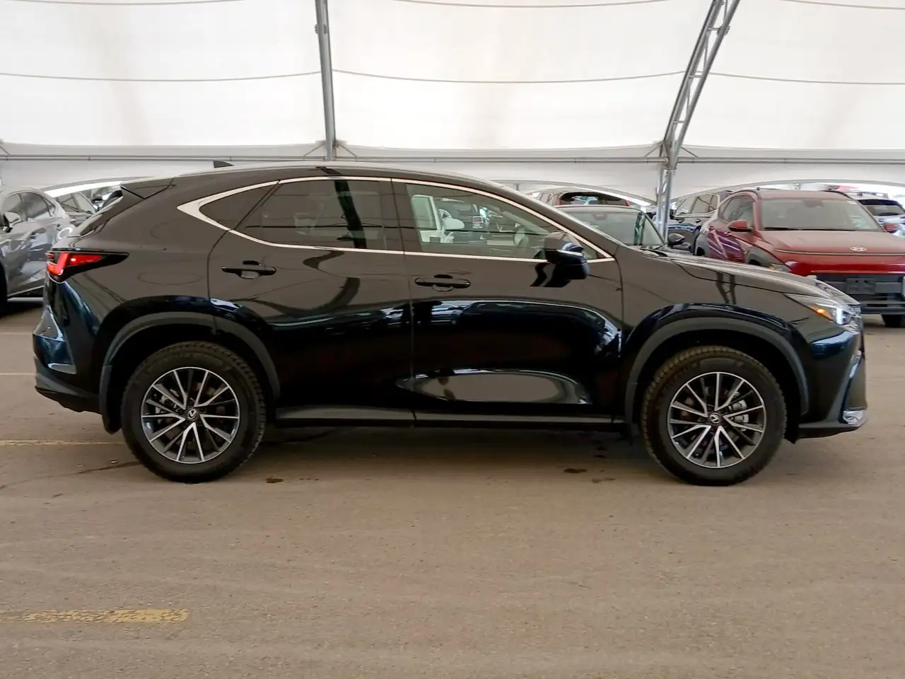 Lexus NX fotografie Lexus NX
