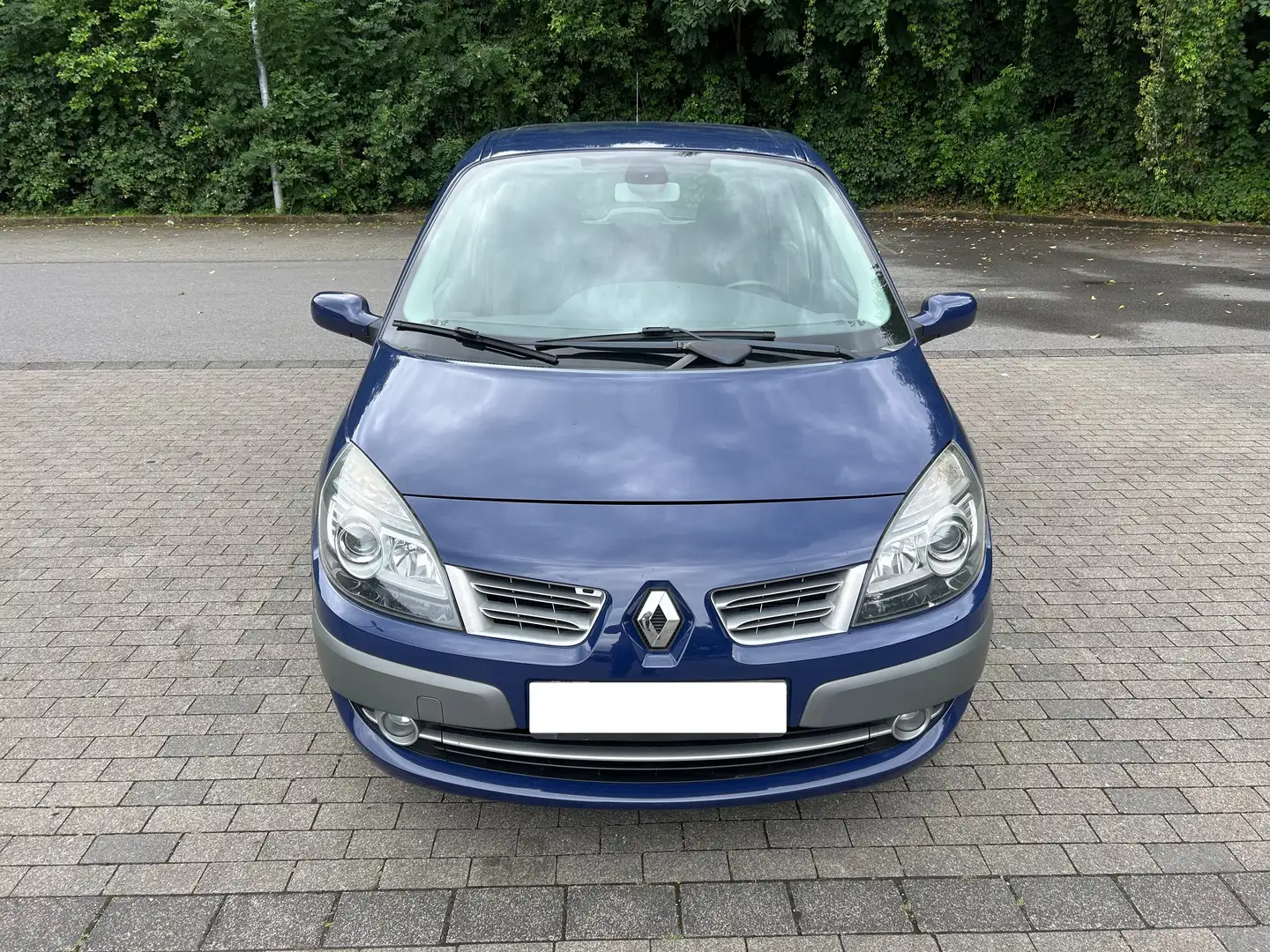 Renault Scenic Scenic 1.6 16V Avantage - Rentner - TÜV 06.2026 Blau - 2