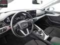 Audi A5 A5 Sportback 40 TFSI VIRTUAL,PANO,HEADUP,B+O,ACC Grau - thumbnail 9