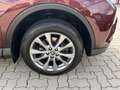 Toyota RAV 4 RAV4 Lounge VIP 2,5l Hybrid 4WD Rot - thumbnail 28