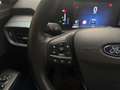 Ford Tourneo Active 1.0 Ecoboost 125cv Démo Grün - thumbnail 10