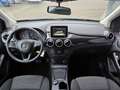 Mercedes-Benz B 200 CDI *Navi*PDC*Service NEU Noir - thumbnail 34