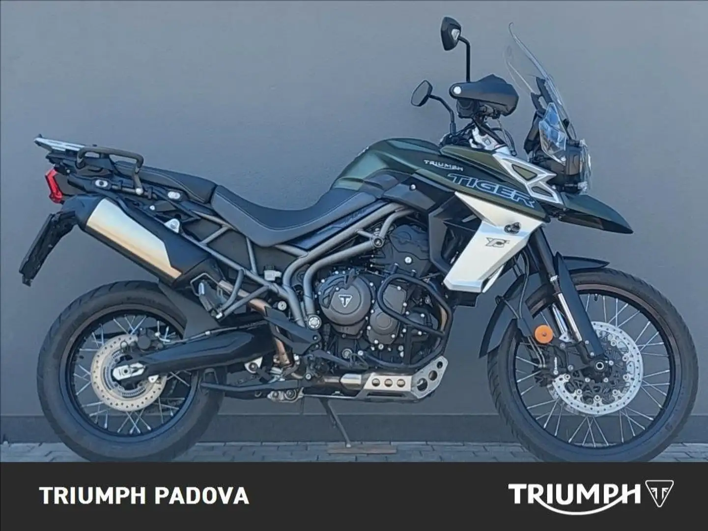 Triumph Tiger 800 XCx Verde - 1