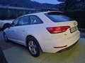 Audi A4 Avant 35 2.0 tdi Business Sport 150cv s-tronic Weiß - thumbnail 8