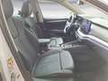 Skoda Octavia Combi Ultimate Schwarz 2,0 TDI 1 Weiß - thumbnail 8