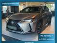 Lexus UX 250h UX 250h Grijs - thumbnail 1