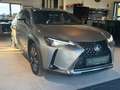 Lexus UX 250h UX 250h Grijs - thumbnail 2