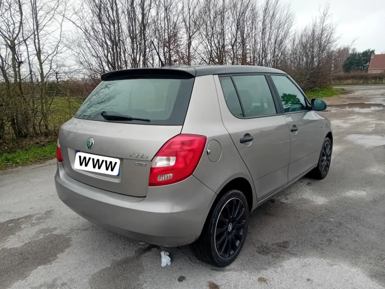 Skoda Fabia 1.2 TDI 75 CR FAP GreenLine