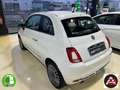 Fiat 500 1.2 Lounge Blanco - thumbnail 6