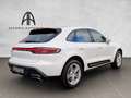 Porsche Macan Approved Kamera Pano Inspektion Neu Blanc - thumbnail 2