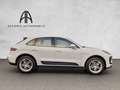 Porsche Macan Approved Kamera Pano Inspektion Neu Blanc - thumbnail 3