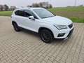 SEAT Ateca 2.0 TDI Xcellence 4Drive Standheizung Blanc - thumbnail 7