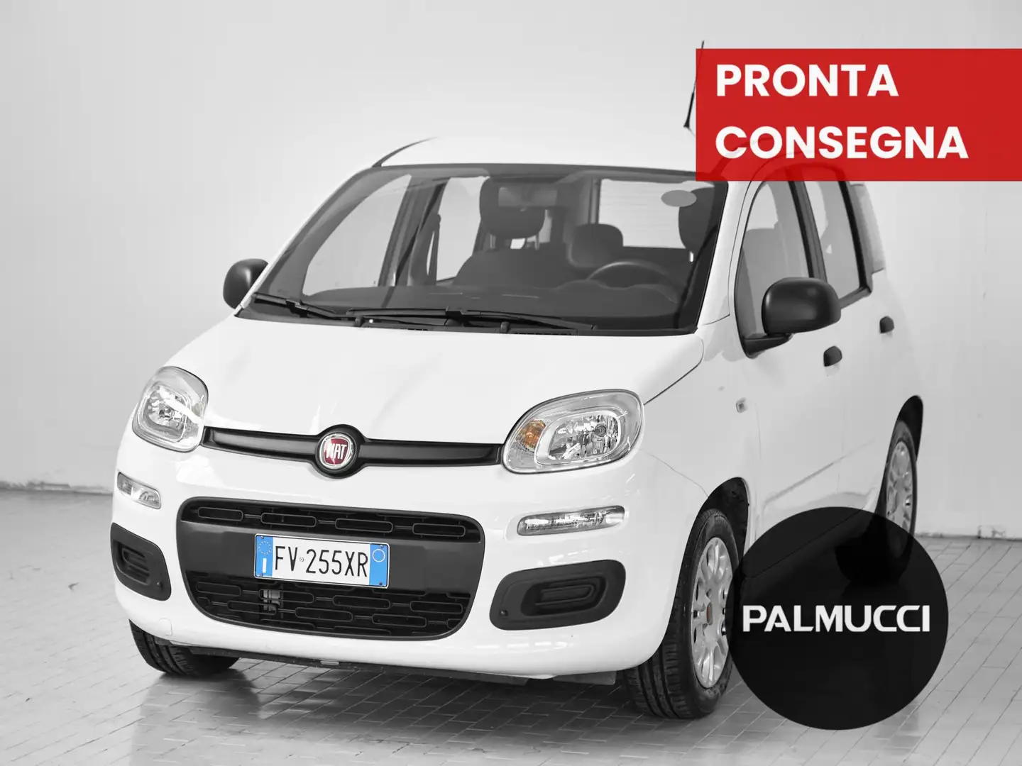 Fiat Panda 1.2 Easy - 1